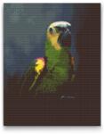  Gyémántszemes festmény - Amazon-papagáj Méret: 40x50cm, Keretezés: Műanyagtáblával, Gyémántok: Négyzet alakú
