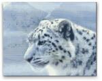  Gyémántszemes festmény - Fehér leopárd Méret: 40x50cm, Keretezés: Fatáblával, Gyémántok: Kerek
