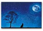  Gyémántszemes festmény - Vonyító kutya teliholdnál Méret: 40x60cm, Keretezés: Keret nélkül (csak a vászon), Gyémántok: Kerek
