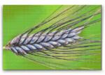  Gyémántszemes festmény - Gabona Méret: 40x60cm, Keretezés: Keret nélkül (csak a vászon), Gyémántok: Négyzet alakú