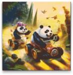  Gyémántszemes festmény - Panda-verseny Méret: 50x50cm, Keretezés: Kartonlemezen, Gyémántok: Kerek