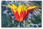  Gyémántszemes festmény - Virágzó tulipán Méret: 40x60cm, Keretezés: Keret nélkül (csak a vászon), Gyémántok: Négyzet alakú