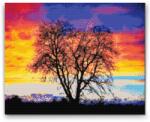 Gyémántszemes festmény - Fa színpompás naplementével a háttérben Méret: 30x40cm, Keretezés: Műanyagtáblával, Gyémántok: Négyzet alakú