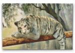  Gyémántszemes festmény - Fehér tigris Méret: 40x60cm, Keretezés: Műanyagtáblával, Gyémántok: Négyzet alakú