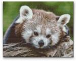 Gyémántszemes festmény - Piros panda Méret: 40x50cm, Keretezés: Kartonlemezen, Gyémántok: Kerek