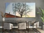  Gyémántszemes festmény - Kívánságfa (3 db-os készlet) Méret: 40x60cm (3db), Keretezés: Kartonlemezen, Gyémántok: Négyzet alakú