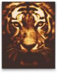  Gyémántszemes festmény - Megvilágított tigris Méret: 40x50cm, Keretezés: Keret nélkül (csak a vászon), Gyémántok: Négyzet alakú