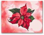  Gyémántszemes festmény - Mikulásvirág Méret: 30x40cm, Keretezés: Műanyagtáblával, Gyémántok: Kerek