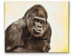  Gyémántszemes festmény - Gorilla Méret: 40x50cm, Keretezés: Kartonlemezen, Gyémántok: Kerek