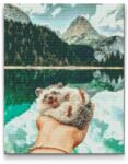  Gyémántszemes festmény - Pokee a süni Méret: 40x50cm, Keretezés: Keret nélkül (csak a vászon), Gyémántok: Négyzet alakú