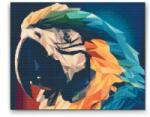  Gyémántszemes festmény - Ara papagáj 2 Méret: 40x50cm, Keretezés: Műanyagtáblával, Gyémántok: Kerek