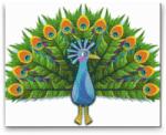  Gyémántszemes festmény - Festett páva Méret: 30x40cm, Keretezés: Keret nélkül (csak a vászon), Gyémántok: Kerek