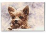  Gyémántszemes kirakó - Yorkshire Méret: 40x60cm, Keretezés: Műanyagtáblával, Gyémántok: Kerek