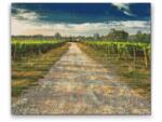  Gyémántszemes festmény - Toszkánai szőlőültetvény Méret: 40x50cm, Keretezés: Kartonlemezen, Gyémántok: Négyzet alakú