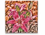  Gyémántszemes festmény - Liliom Méret: 50x50cm, Keretezés: Műanyagtáblával, Gyémántok: Négyzet alakú