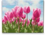  Gyémántszemes festmény - Rózsaszín tulipánok Méret: 40x50cm, Keretezés: Kartonlemezen, Gyémántok: Kerek