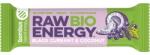 bombus Baton Energizant Bio, Raw Energy, cu Coacaze Negre si Nuca de Cocos 50 g Bombus (BB31303)