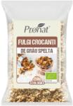Pronat Foil Pack Fulgi Crocanti Bio de Grau Spelta 250g (PRN101782)