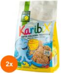 Bohlsener Mühle Set 2 x Biscuiti BIO Karibix din Faina Integrala de Ovaz Indulciti cu Fructe, 125 g, Bohlsener Muhle