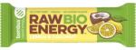 bombus Baton Energizant Bio, Raw Energy, cu Lamaie si Nuca de Cocos 50 g Bombus (BB31302)