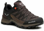 Salewa Trekkings Salewa Ws Mtn Trainer Lite Gtx GORE-TEX 61362-7517 Wallnut/Fluo Coral
