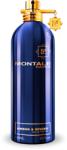 Montale Amber & Spices (Blue) EDP 100 ml Tester Parfum
