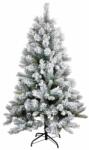 MagicHome Karácsonyfa MagicHome Karácsony Harry, havas ezüstfenyő, 210 cm (ST2171742)