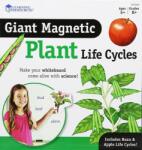 Learning Resources Ciclul Vietii Plantei - Set Magnetic - Learning Resources (ler6045)
