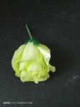  Bimbó rózsa - zöld