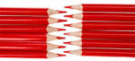 Nebulo Színes ceruza, Nebulo, háromszög test, piros (CRW-RNEBSZCP)