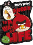 Angry Birds notesz A/6, többféle minta (DFM-NKA6AB)
