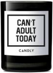 Candly - Lumanare parfumata de soia Can't adult today 250 g 99KK-AKU11N_99X