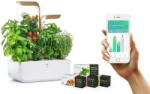 VÉritable (Франция) Настолна домашна градина Véritable® CONNECT Garden - цвят бял и злато (VPOT-BAWМG-A-12)