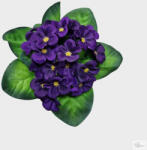 Bloomi Fokföldi ibolya (4 színben, selyem) (375998)