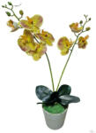 Bloomi Cserepes gumi orchidea (sárga) (446941)