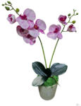 Bloomi Cserepes gumi orchidea (pink) (398712)