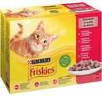 Friskies nedves macskaeledel szószban - csirkével, marhával, báránnyal, kacsával 12 x