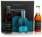Seven Hills Distillery Seven Hills Tokaj Gin & Tonic Sharing Pack [2*0, 2L+0, 2L|47%] - idrinks