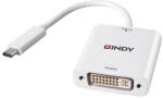 Lindy USB Type C to DVI Converter (43338)