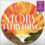 Sheryl Crow - Story Of Everything (Picture Disc) (LP) (0843930098804)