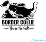  Border collie matrica 30 cm