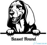  Basset hound matrica 30 cm