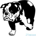  Angol Bulldog matrica 26