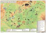 Stiefel Könyökalátét, kétoldalas, A3, STIEFEL Magyarország vadon élő állatai / Magyarország állatvilága (187182K) - irodaszermost