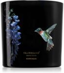 Vila Hermanos Jungletopia Hummingbird lumânare parfumată 620 g
