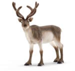 Schleich 72210 Aranyszarvú rénszarvas figura - Wild Life (72210)