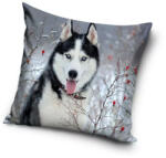  Kutyás Husky párnahuzat 40x40 cm (CBX181011PDA) - oliviashop