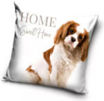  Kutyás Cavalier párnahuzat 40x40 cm (CBX214042PNL) - oliviashop