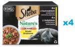 Sheba in sos 32x85g Nature's Collection pentru pisici, arome de pasare cu pui si ardei rosu, curcan si morcovi