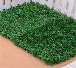 D&D Buxus zöld fal 25x25cm négyzet (DD38457)
